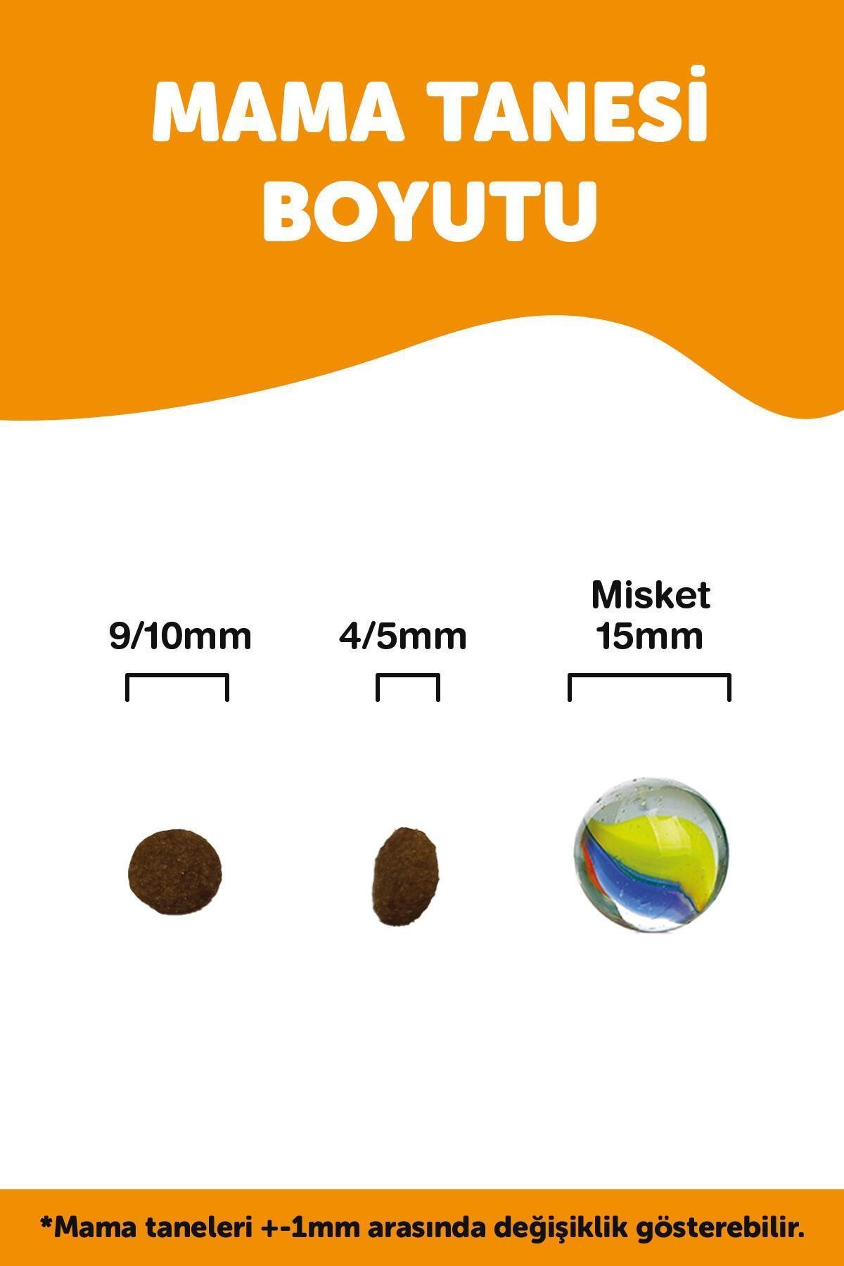 LaVital Kilo Kontrolü için Somonlu Kısırlaştırılmış Kedi Maması 1.5kg - 6 Adet
