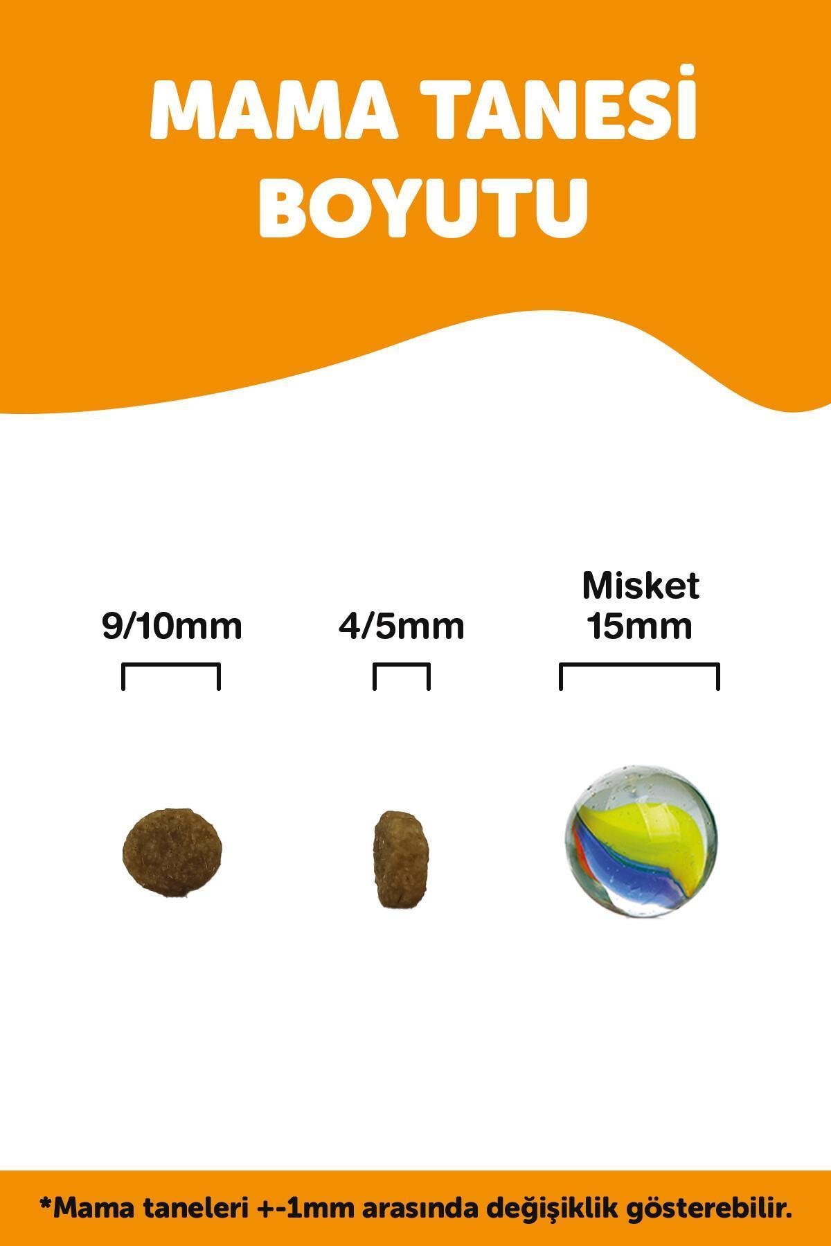 LaVital Kuzulu Küçük Irk Yetişkin Köpek Maması 1.5kg