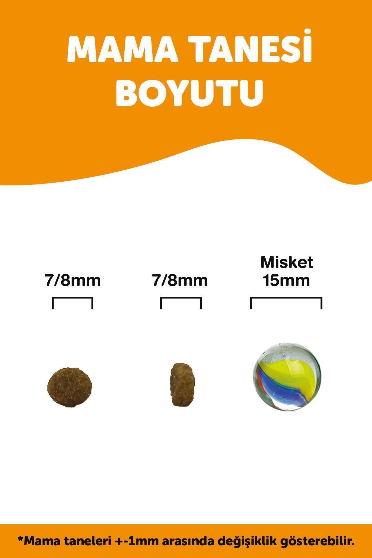 LaVital Mini Puppy Küçük Irk Kuzulu Yavru Köpek Maması 1.5kg