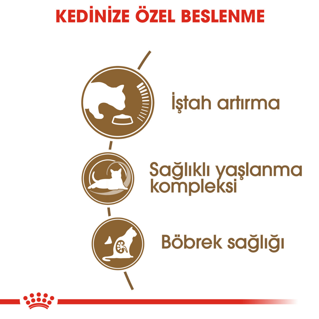 Royal Canin Ageing 12+ Yaş Üzeri Yaşlı Kedi Maması 2kg