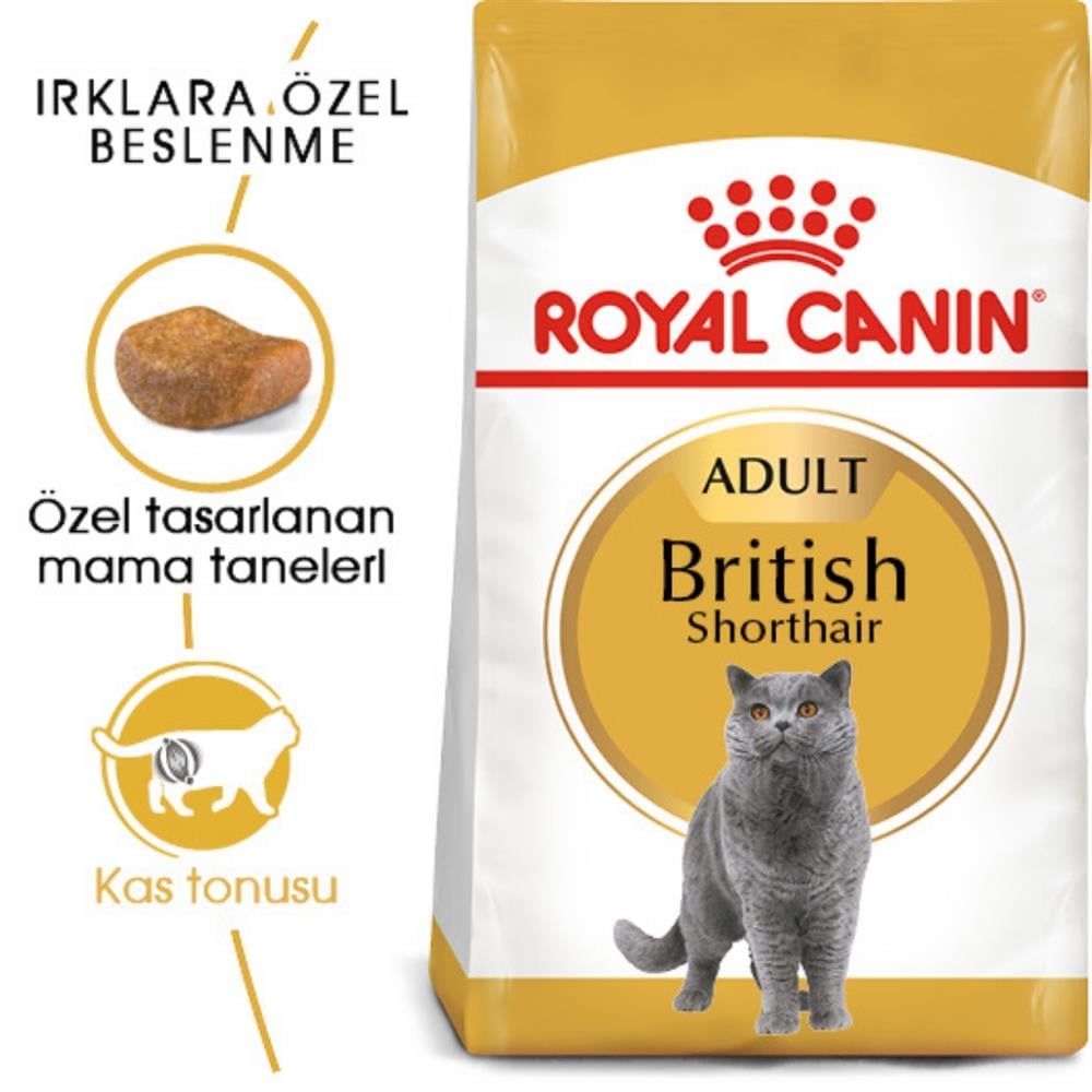 Royal Canin British Shorthair Yetişkin Kedi Maması 4 kg