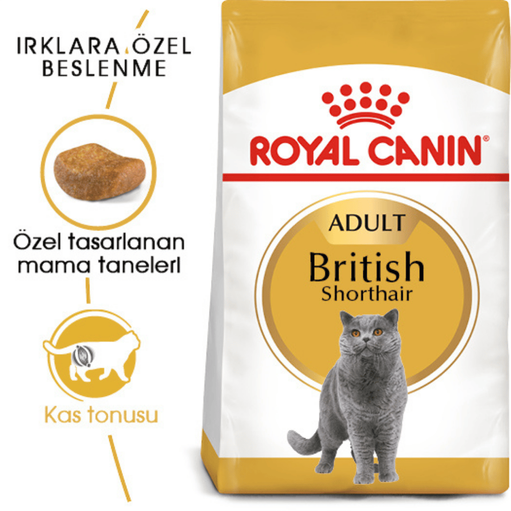 Royal Canin British Shorthair Yetişkin Kedi Maması 4 kg