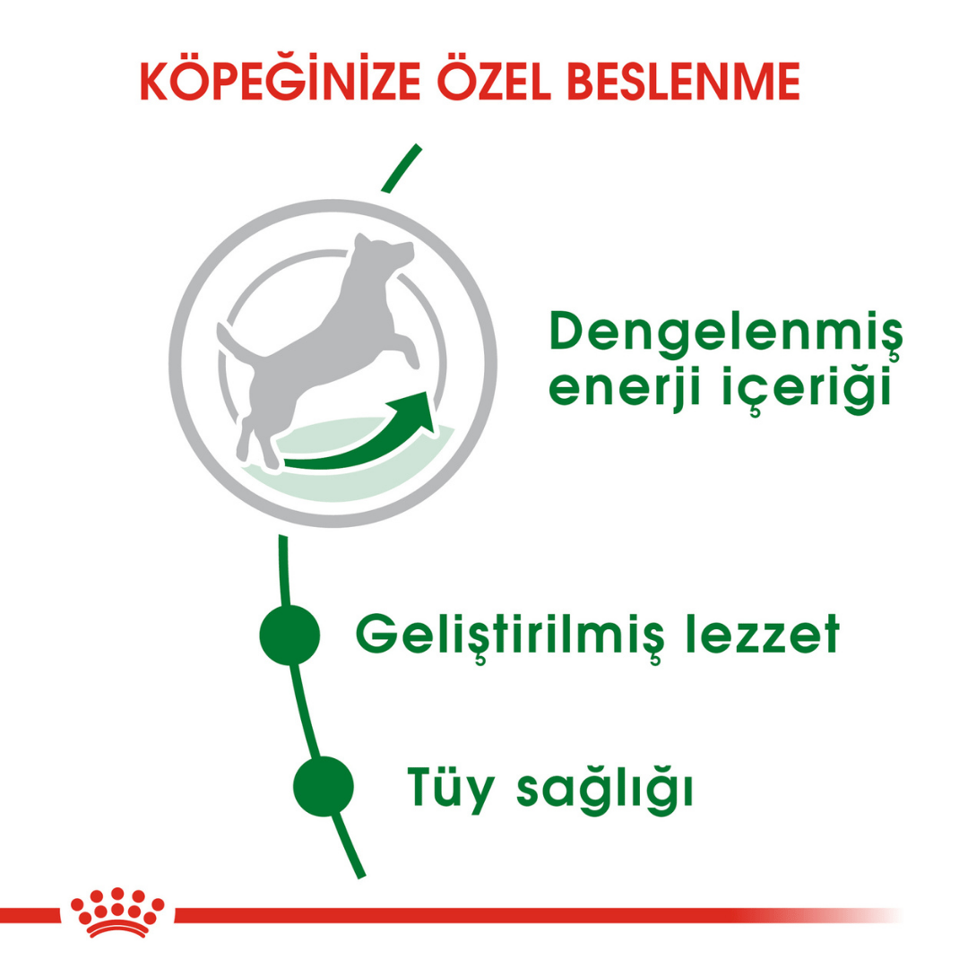 Royal Canin Mini Küçük Irk Yetişkin Köpek Maması 8kg
