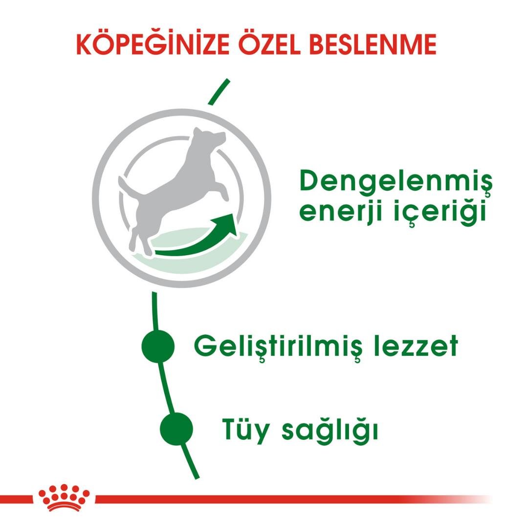 Royal Canin Mini Küçük Irk Yetişkin Köpek Maması 8kg