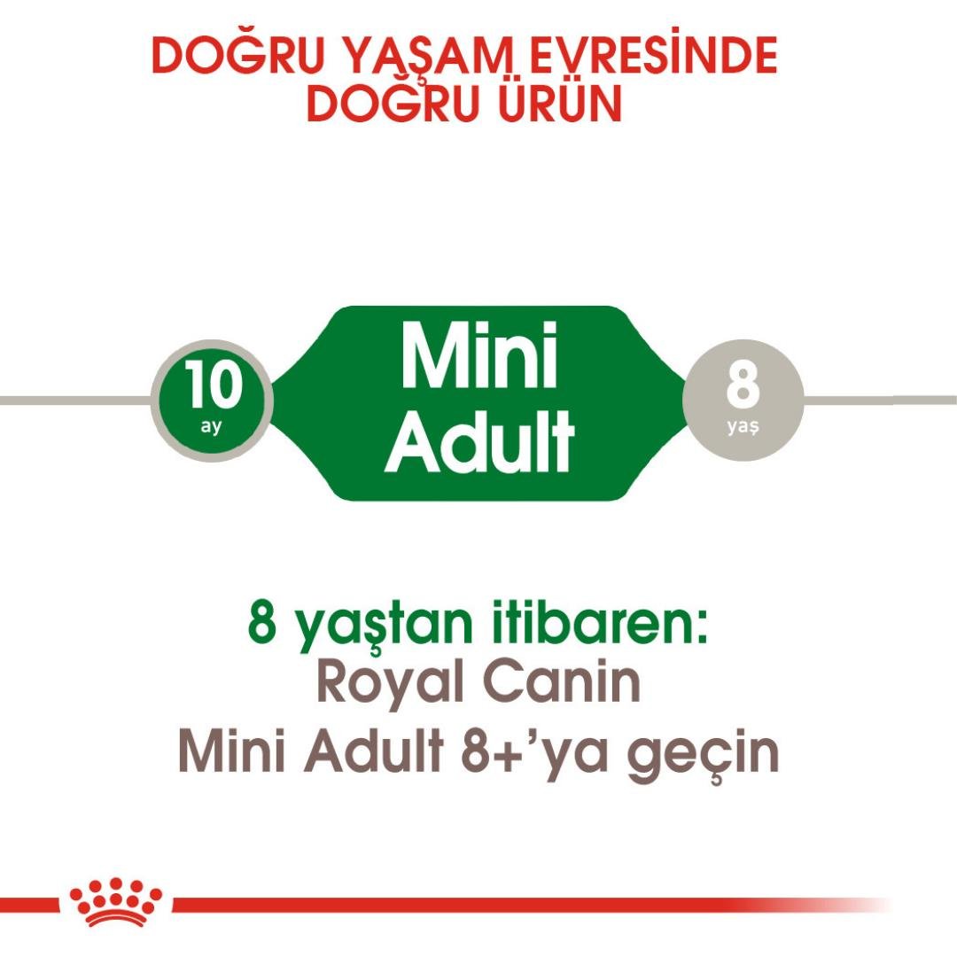 Royal Canin Mini Küçük Irk Yetişkin Köpek Maması 8kg