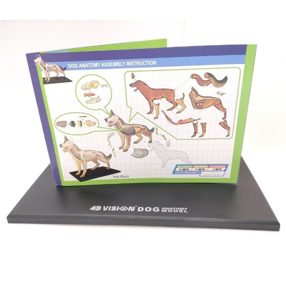 4D Master Vision Oyuncak Köpek Anatomi Modeli