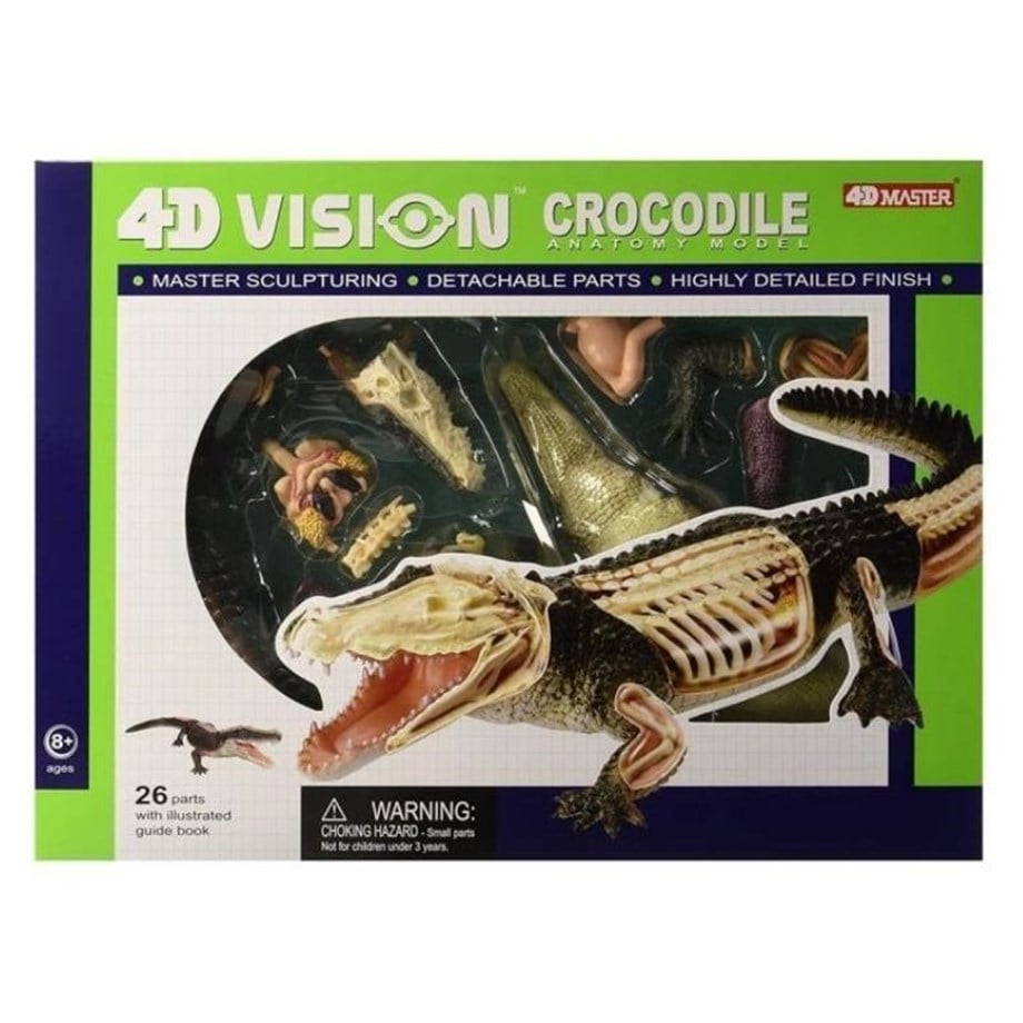 4D Master Vision Oyuncak Timsah Anatomi Modeli