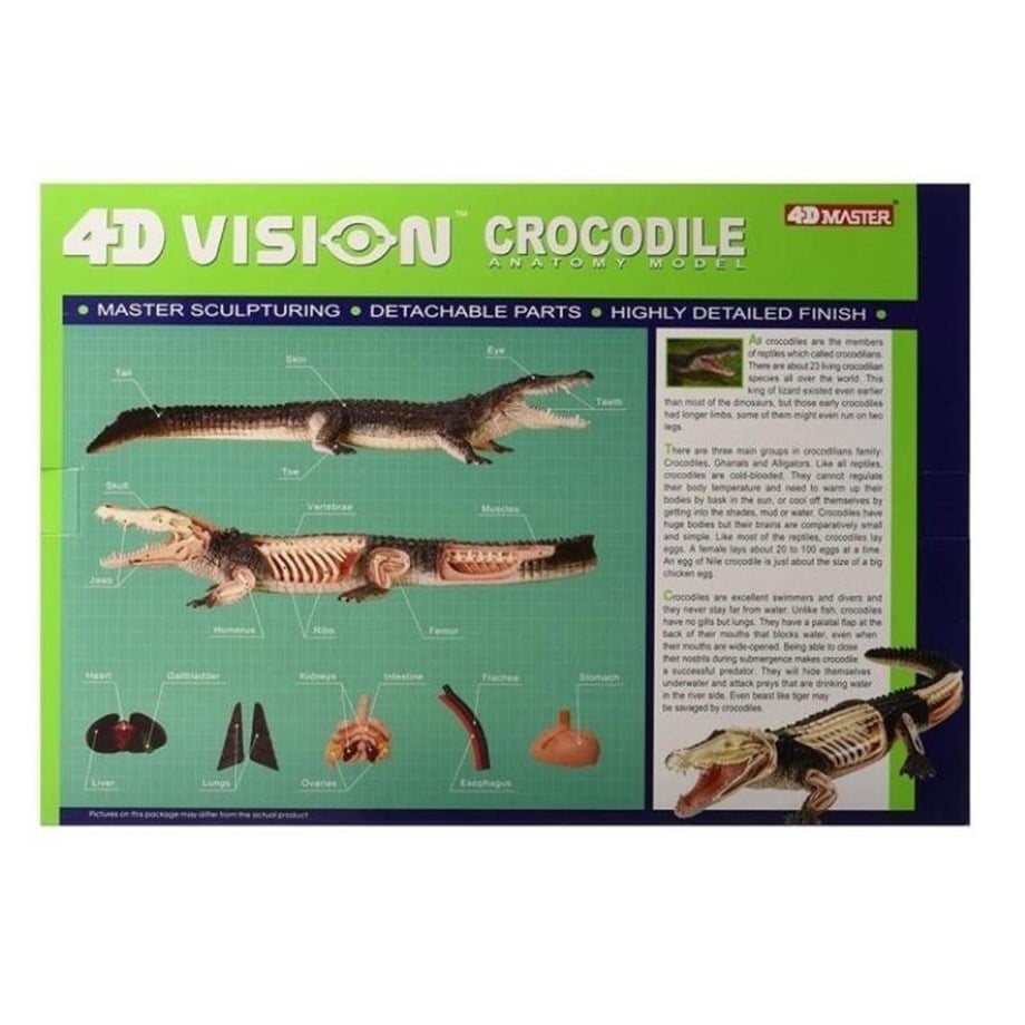 4D Master Vision Oyuncak Timsah Anatomi Modeli
