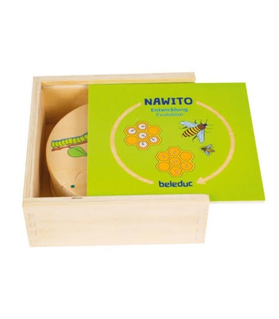Nawito / Oluşum Süreci (30 Ahşap Kart)