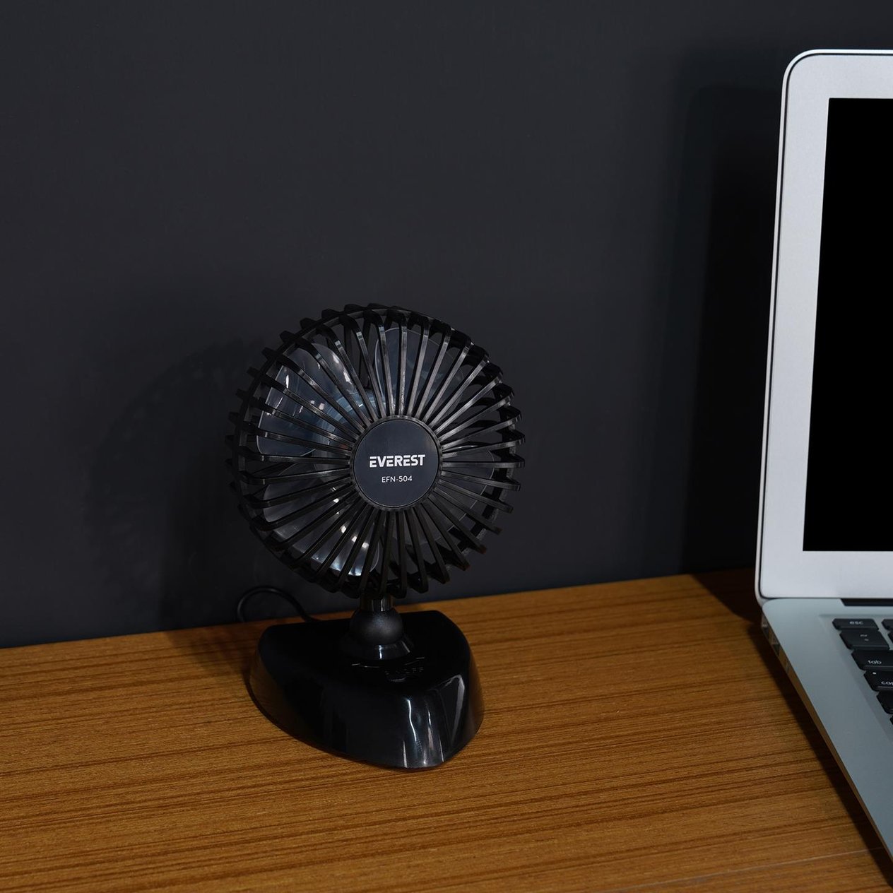 Everest EFN-504 Taşınabilir Masaüstü Siyah USB Fan