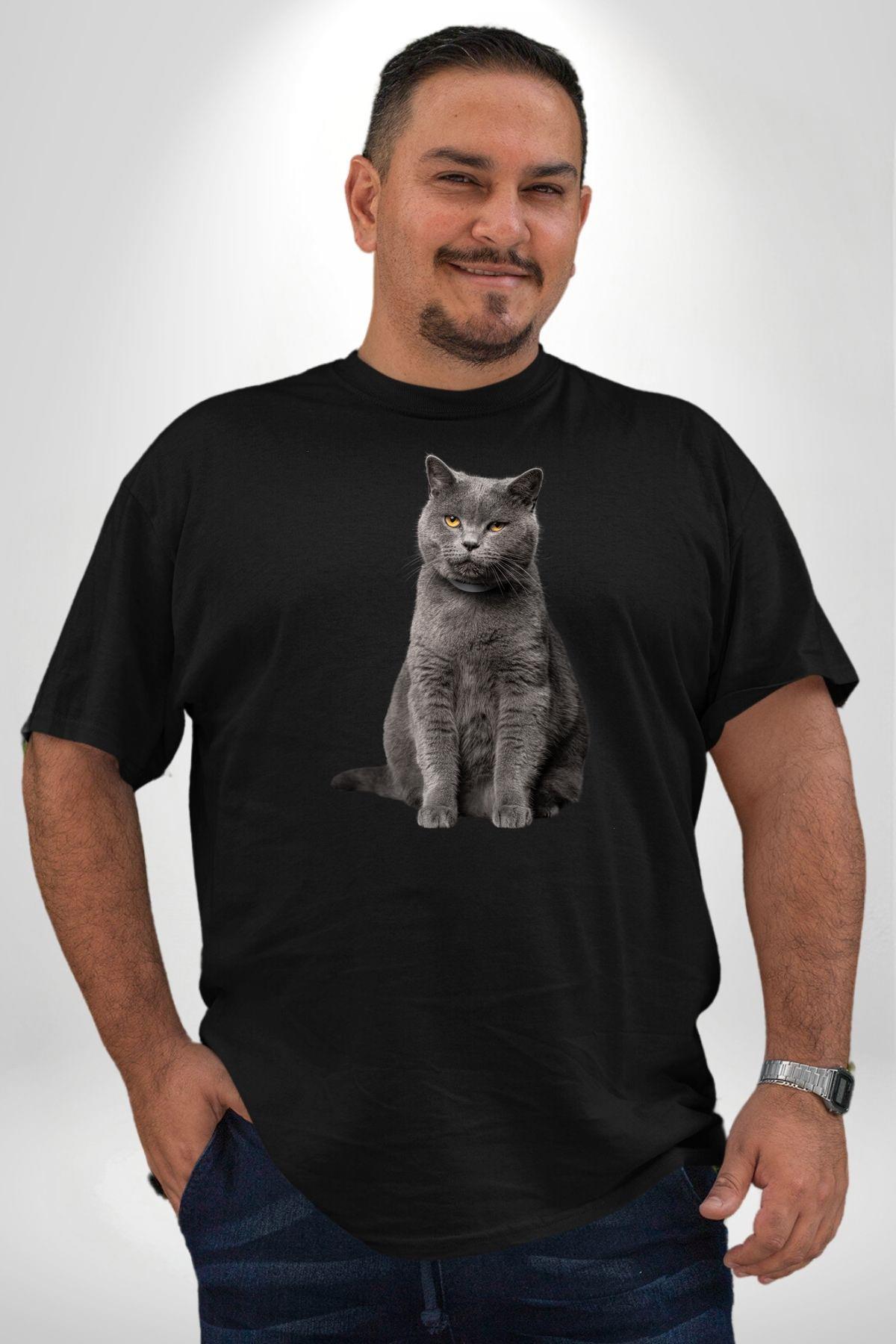 british-shorthair-kedi-siyah-buyuk-bed-531-95.jpg