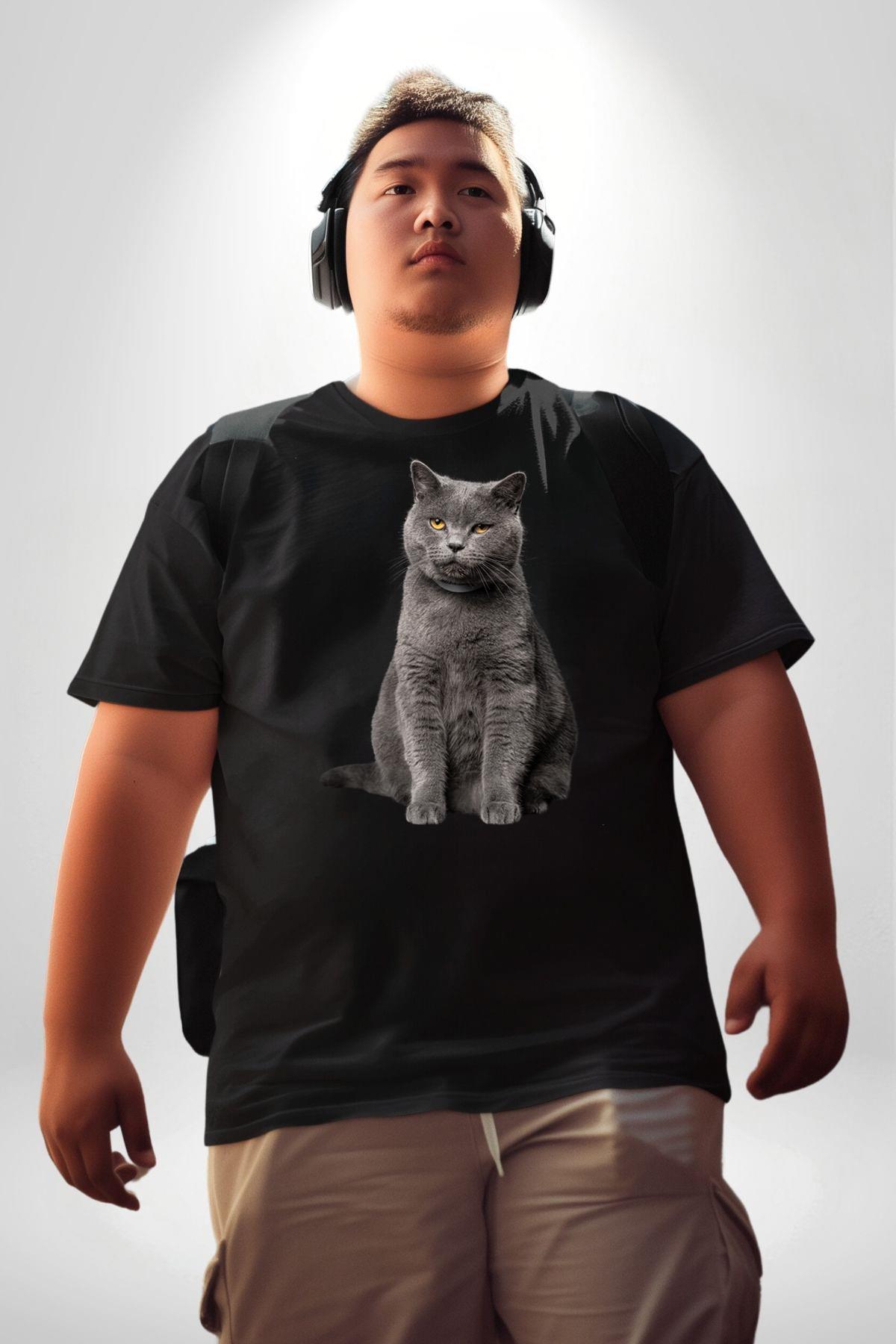 british-shorthair-kedi-siyah-buyuk-bed-56dd-c.jpg