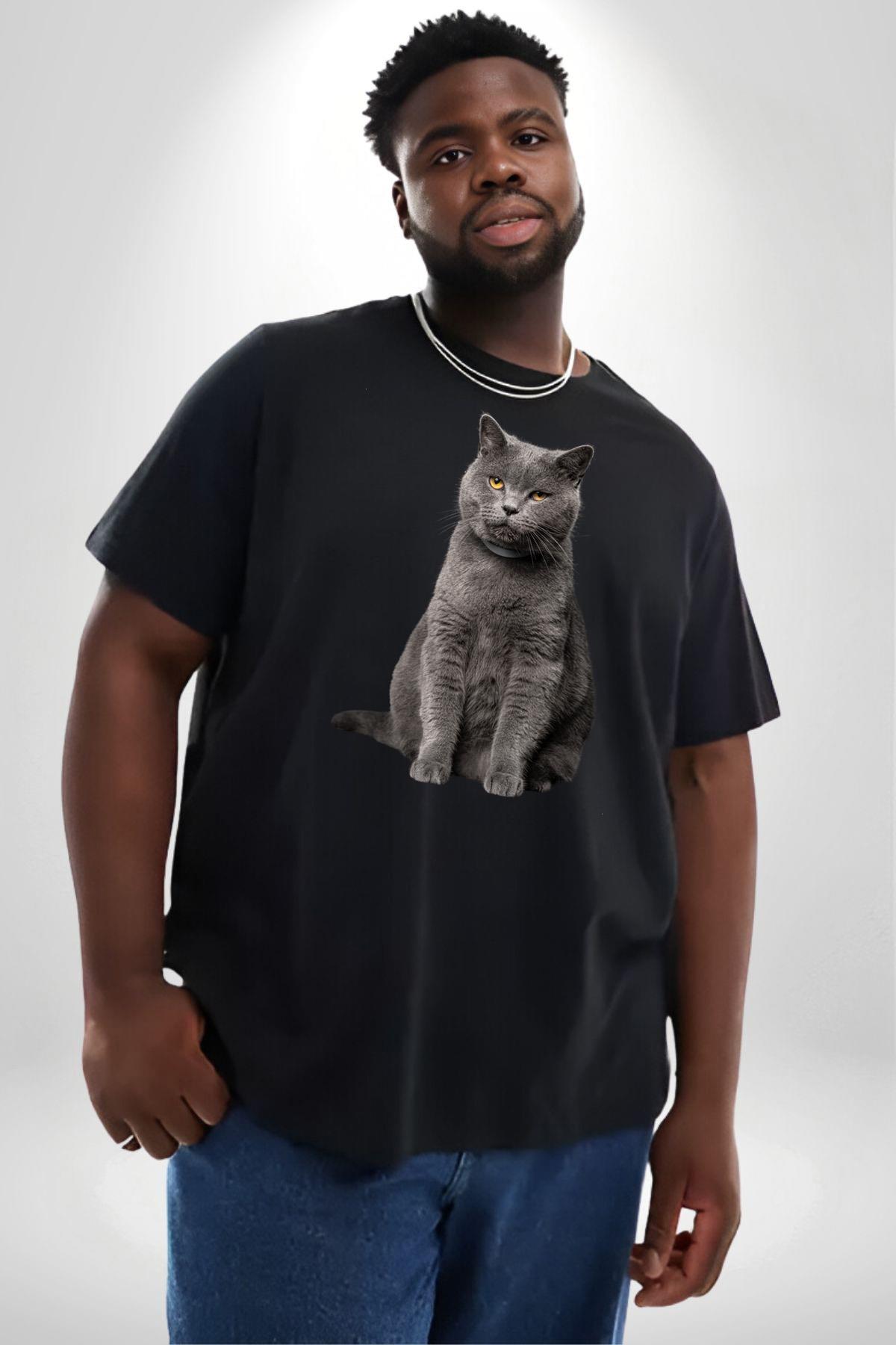 british-shorthair-kedi-siyah-buyuk-bed-5f8cd-.jpg