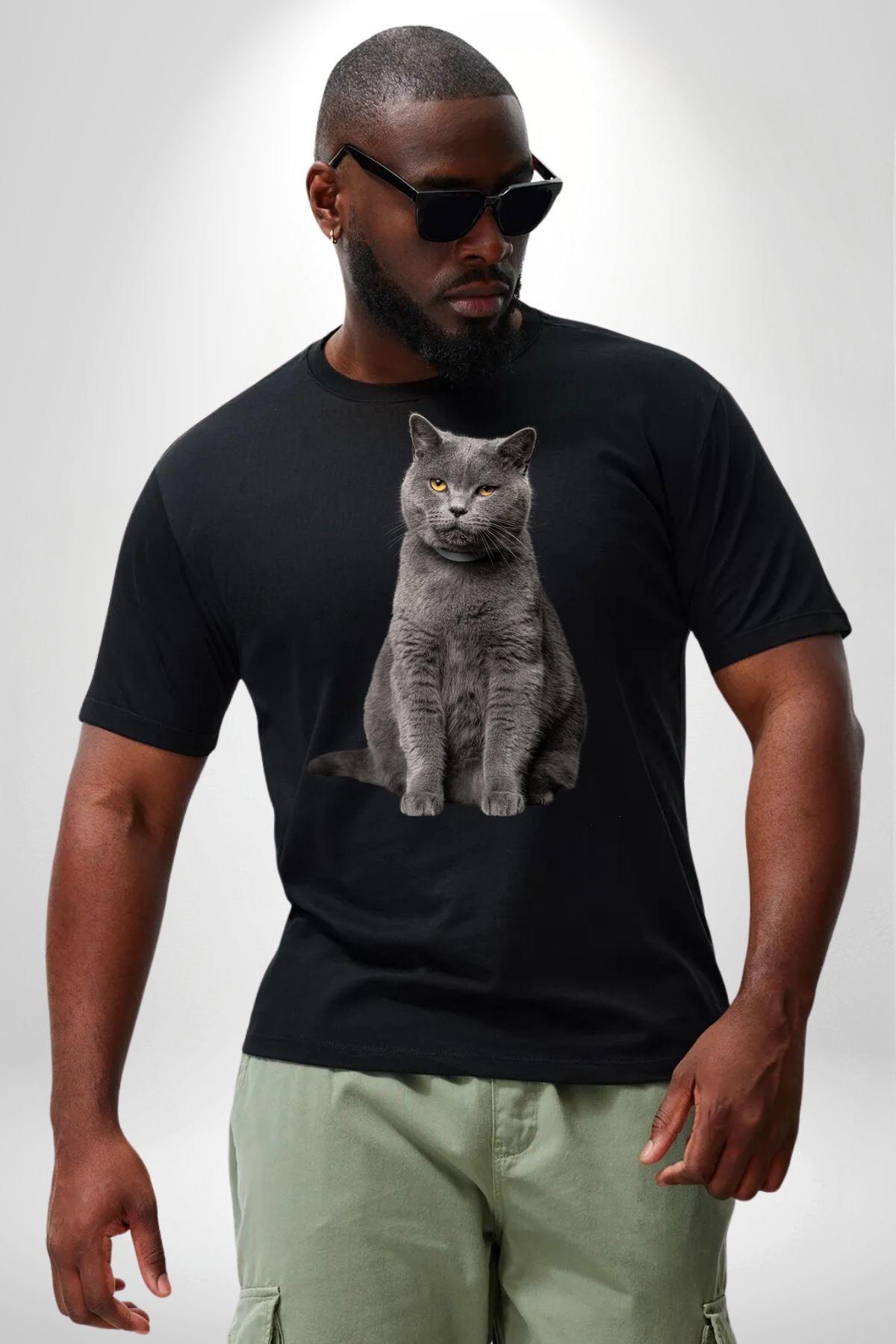 british-shorthair-kedi-siyah-buyuk-bed-627-48.jpg