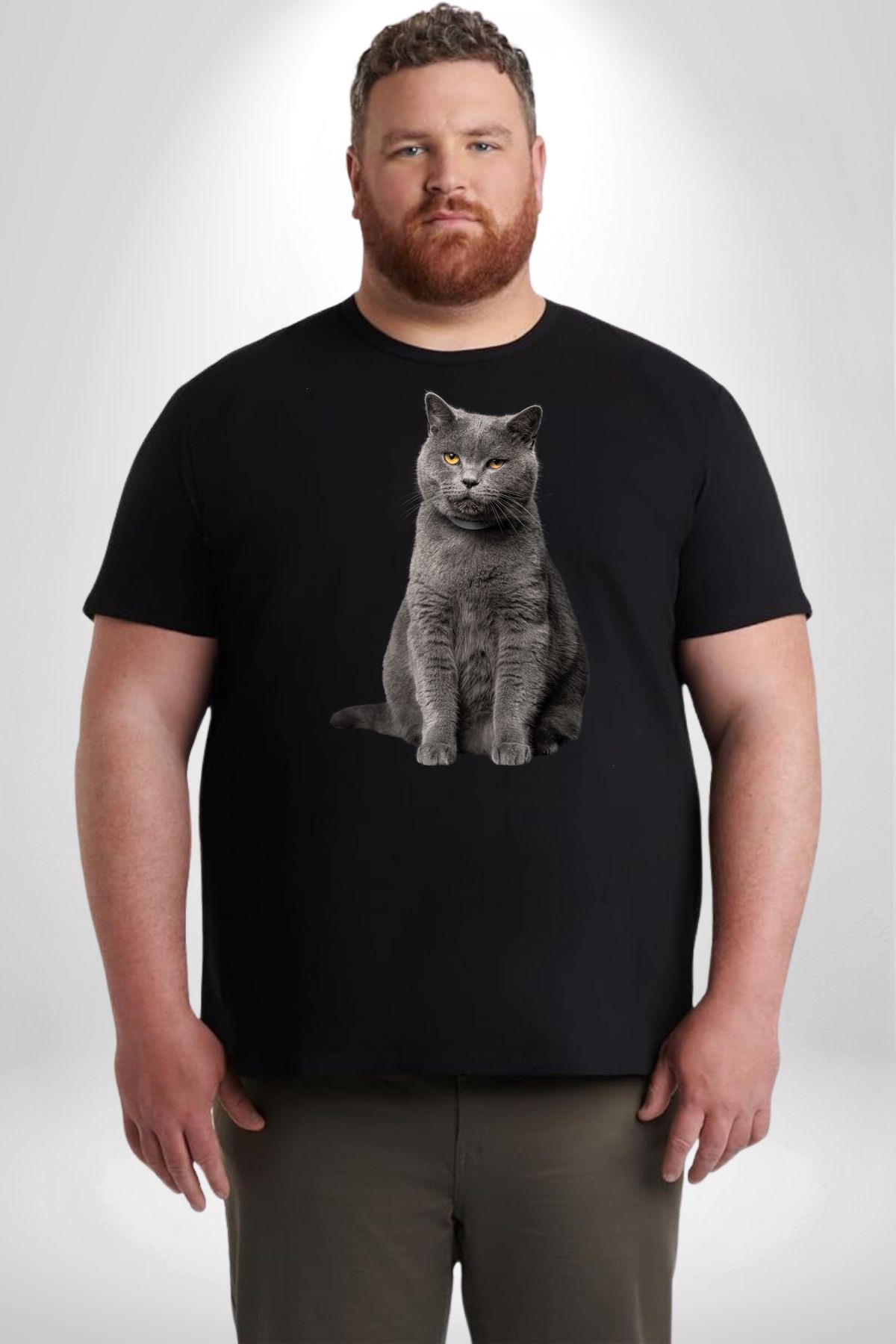 british-shorthair-kedi-siyah-buyuk-bed-dced84.jpg