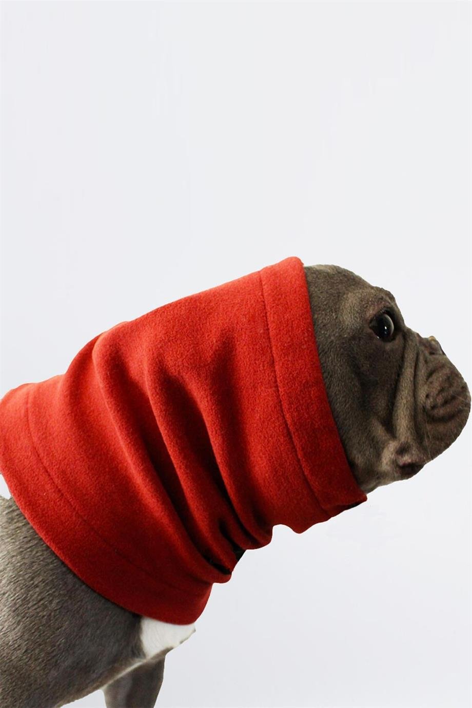 Köpek Boyunluk Kırmızı Büyük Küçük Irk Köpek Giyim Kıyafet 7050_2010