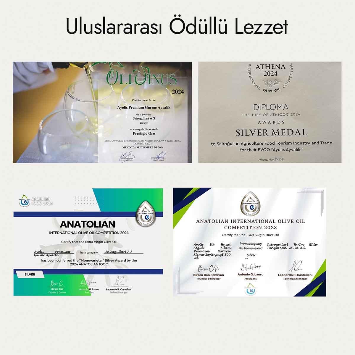 Ayolis Premium Gurme Ayvalık Ödüllü Yüksek Polifenollü Erken Hasat Soğuk Sıkım Natürel Sızma Zeytinyağı 500 Ml