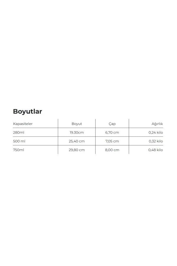 LesArtistesLes Artistes Paris Isı Yalıtımlı Kutu Çelik Termos 280ML Tiger
