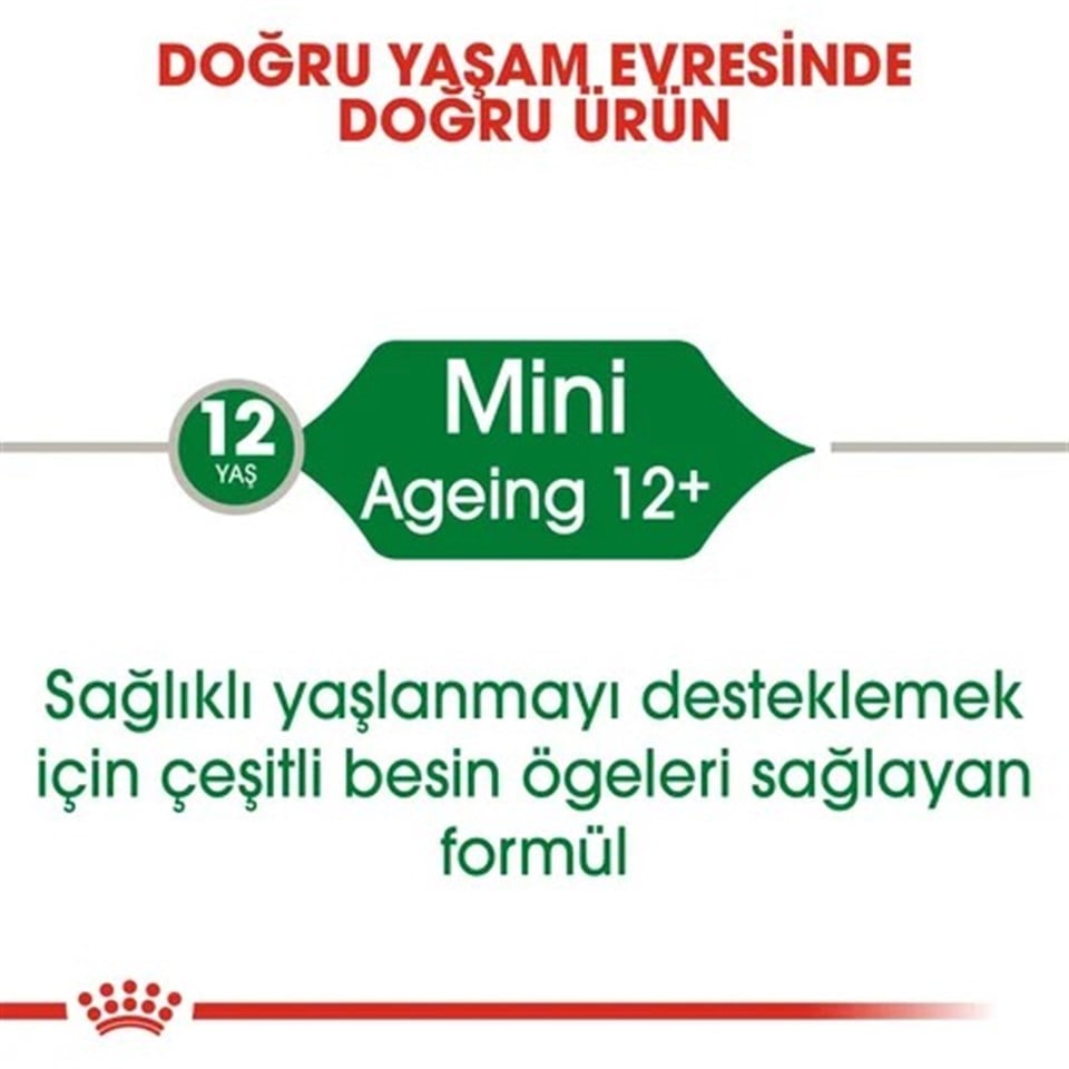Royal Canin Mini Ageing 12+ Yaş Maması