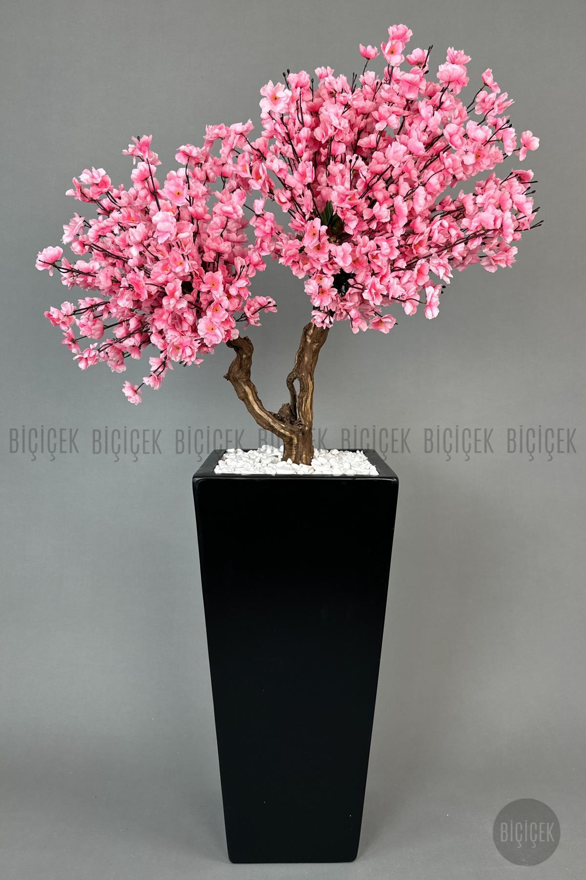 Bonzai gövdeli Pembe Sakura Ağacı 150cm Dış Mekana Uygun