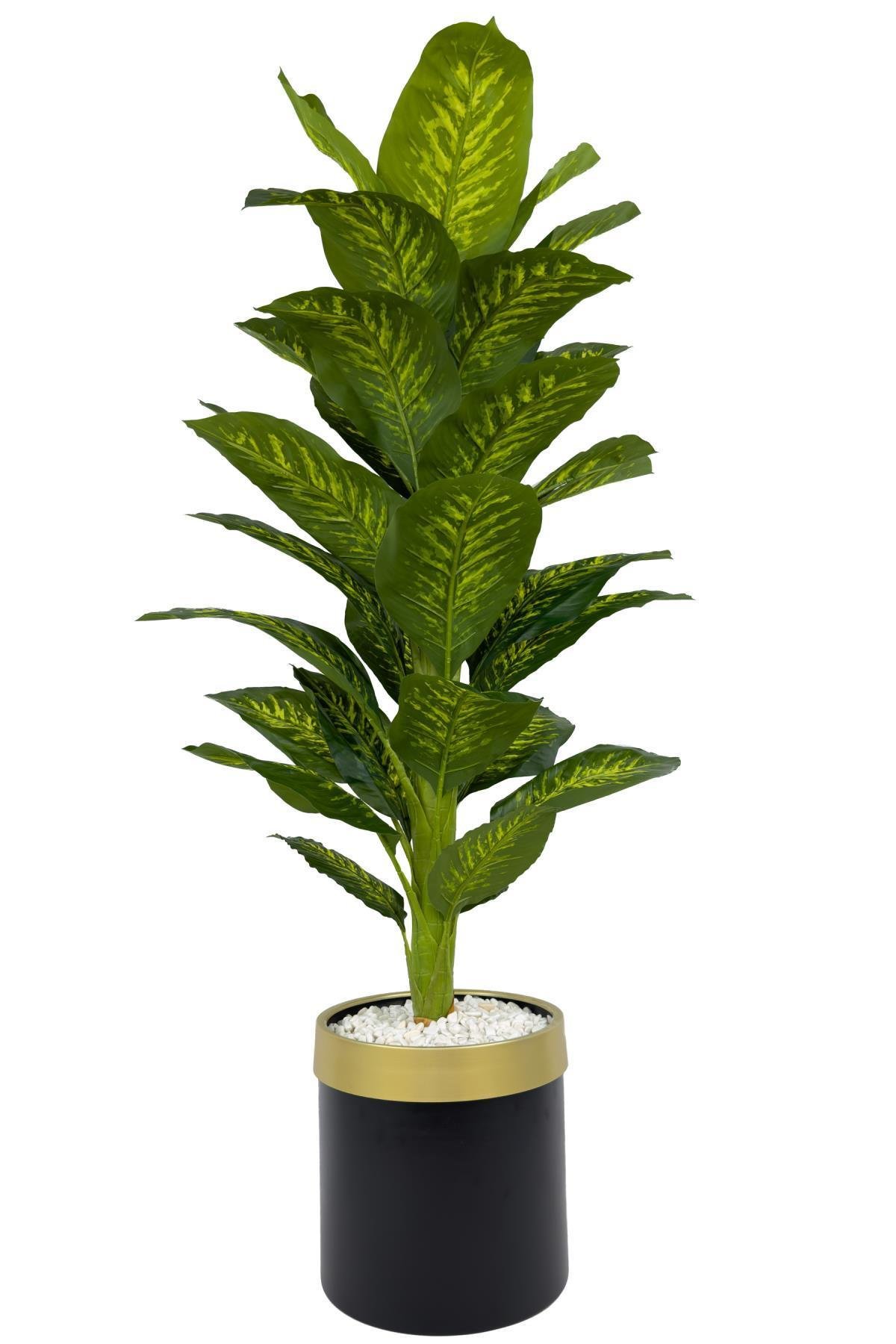 Difenbahya Ağacı 160cm siyah gold metal saksıda