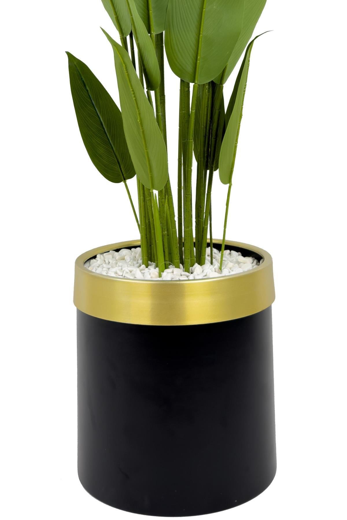 Starliçe 220cm metal siyah gold saksıda
