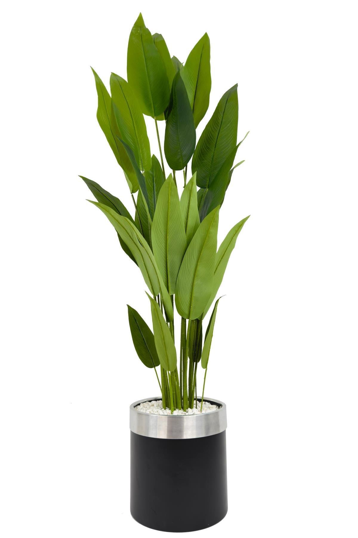 Starliçe 220cm metal siyah gümüş saksıda