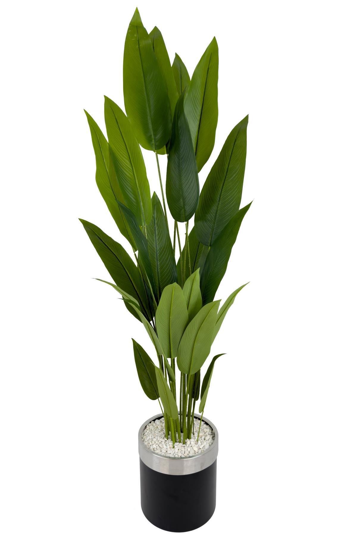 Starliçe 220cm metal siyah gümüş saksıda