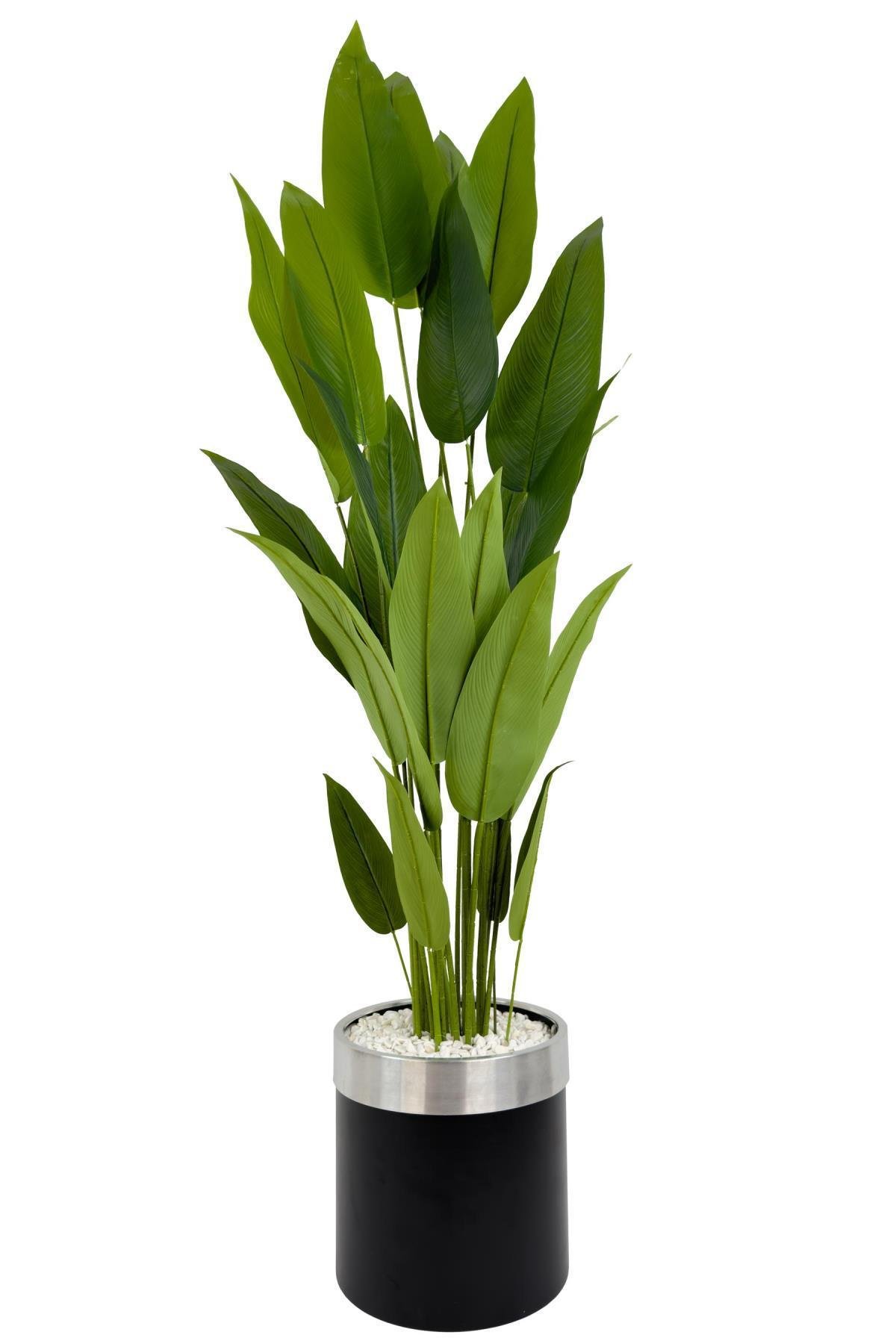 Starliçe 220cm metal siyah gümüş saksıda