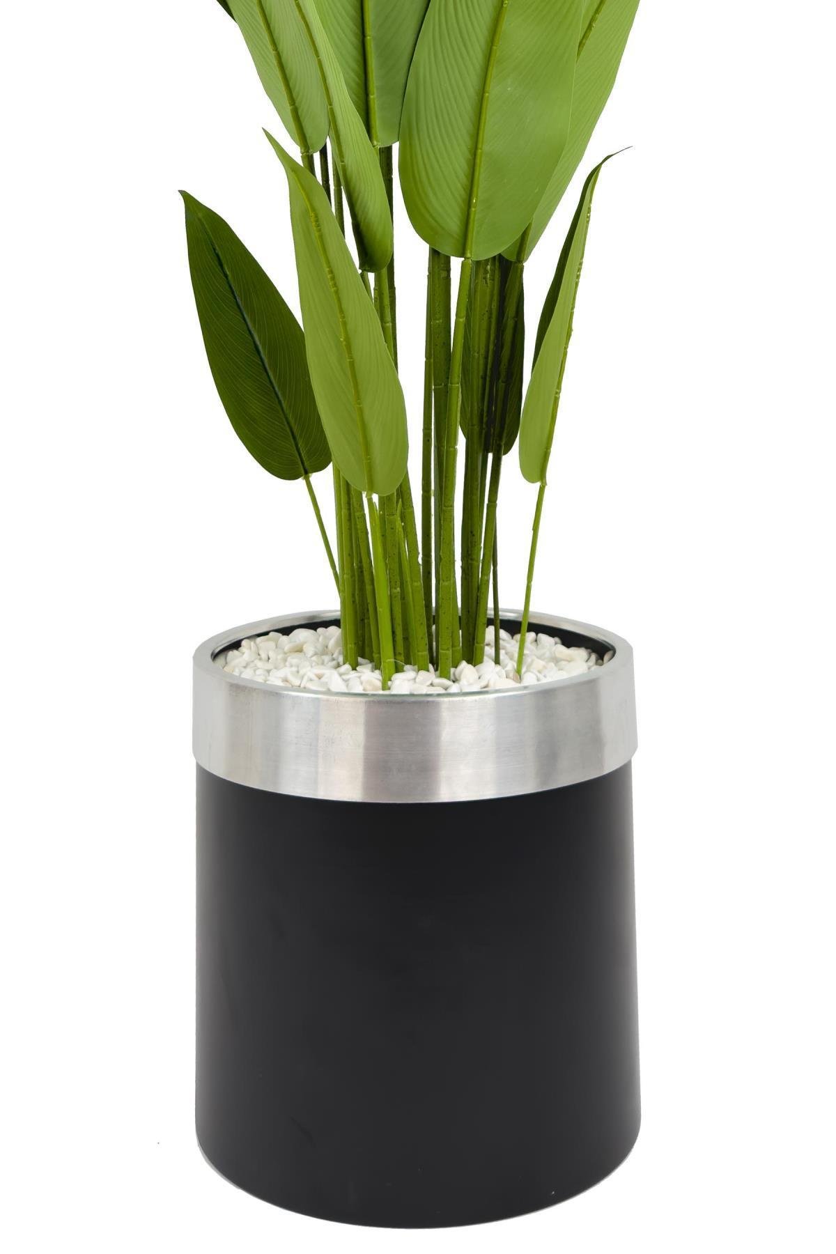 Starliçe 220cm metal siyah gümüş saksıda