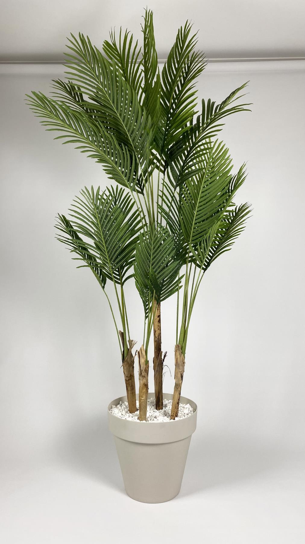 YAPAY AREKA AĞACI  BÜYÜK BOY PALMİYE AĞACI 4 BAMBU GÖVDELİ 220CM KIRIKBEYAZ RENK YALI SAKSIDA