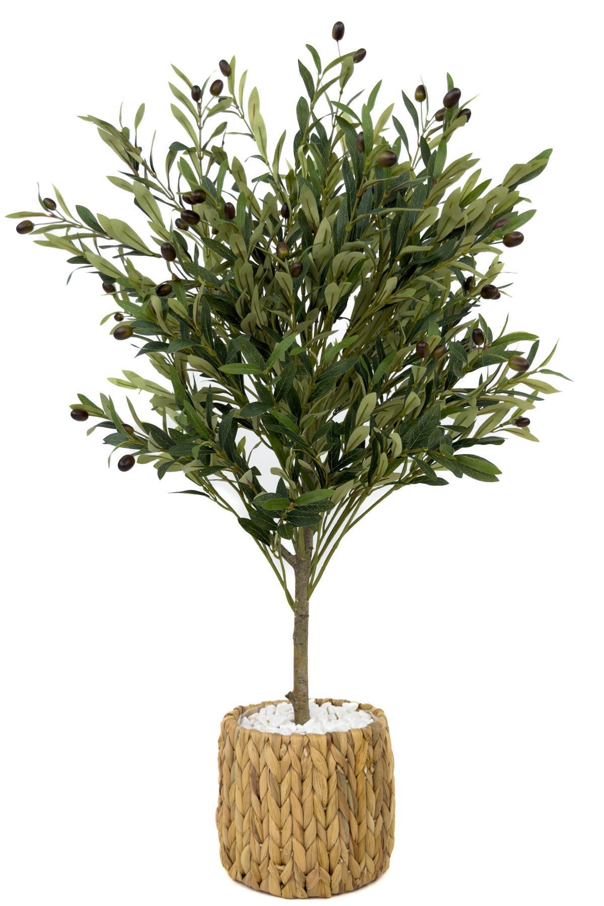 Zeytin Ağacı 100 cm hasır bohem2 saksıda