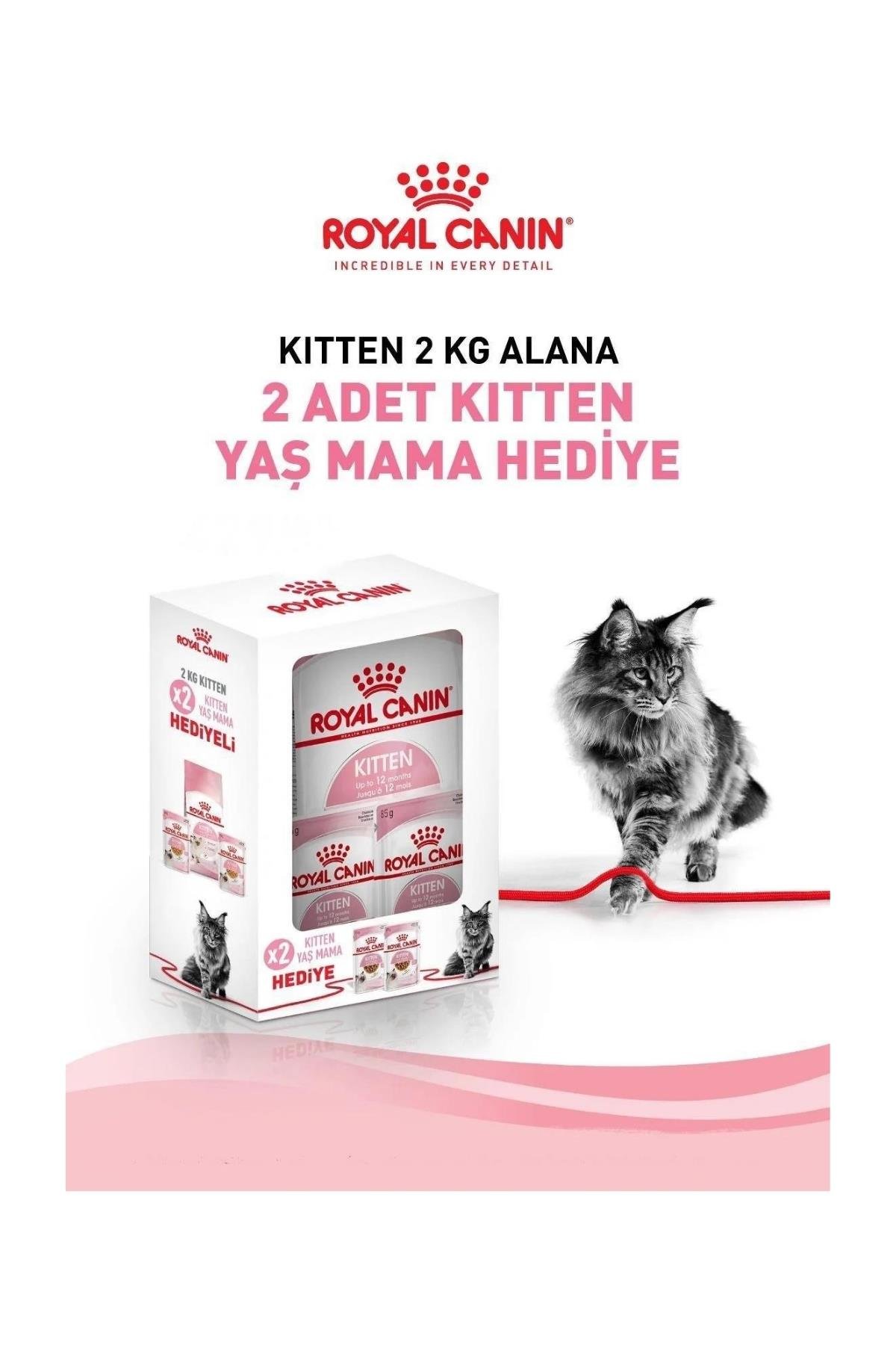 Royal Canin Royal Canin Kitten Yavru Kedi Maması 2 Kg