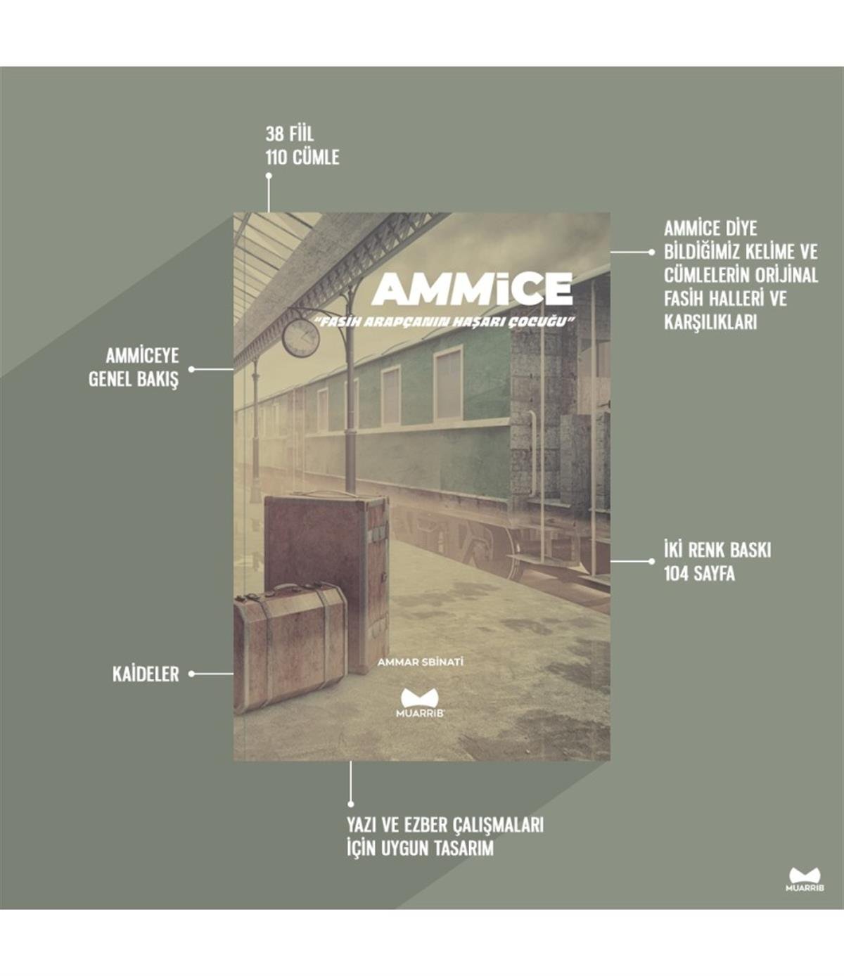 Ammice 