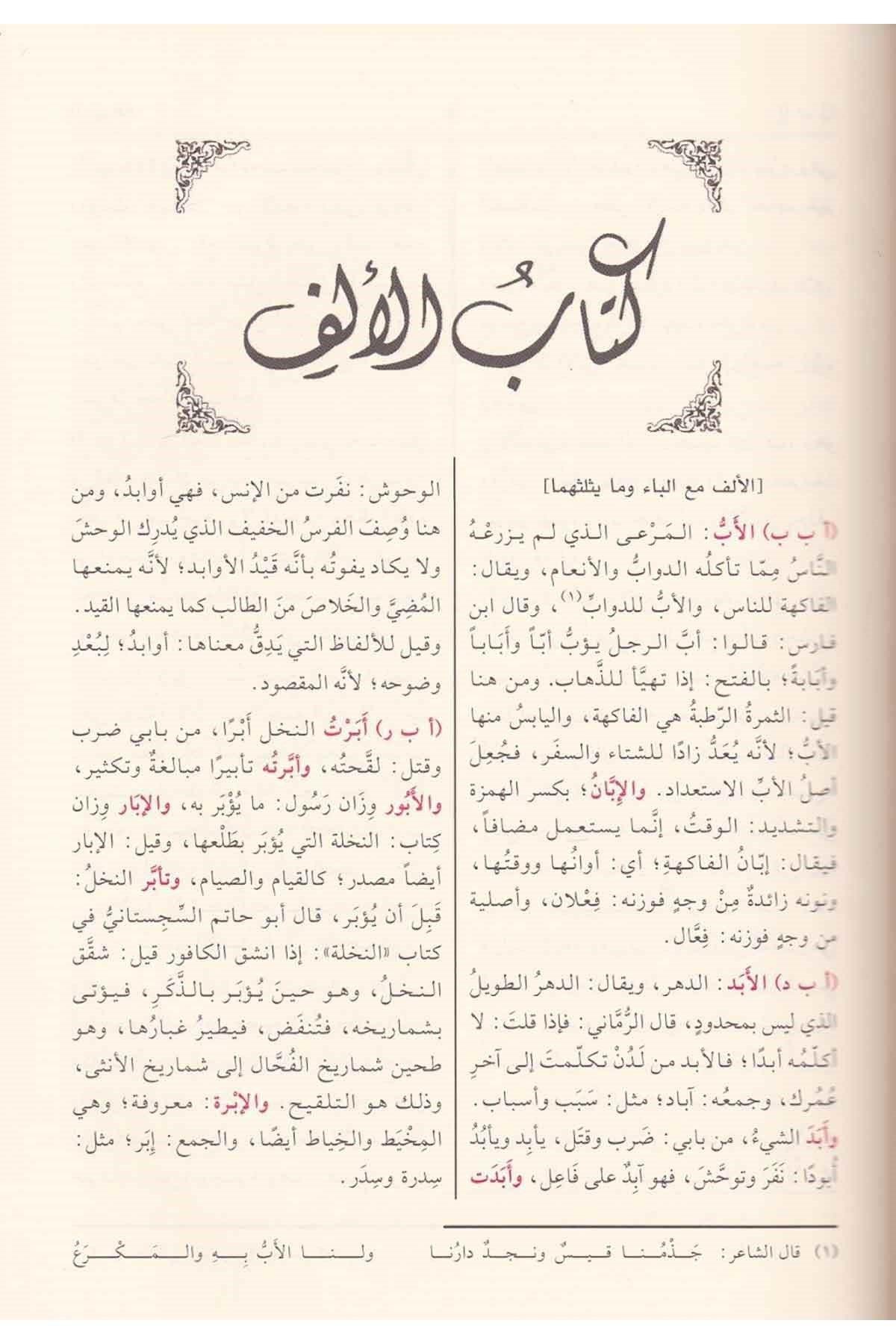 El Misbah ül Münir Fi Ğeribi Şerhil Kebir - المصباح المنير في غريب الشرح الكبير