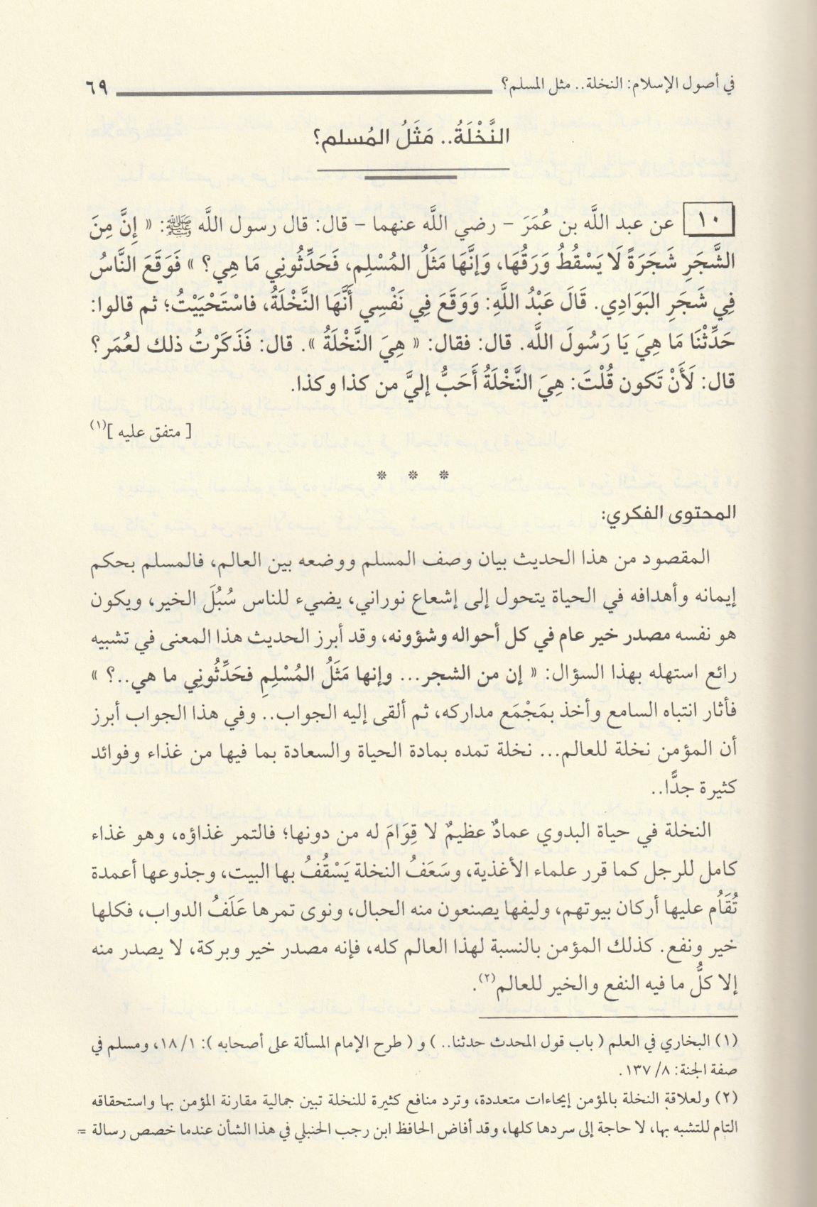 Fi Zilalil Hadisin Nebevi - في ظلال الحديث النبوي - arapça kitap - arapça kitaplar medrese