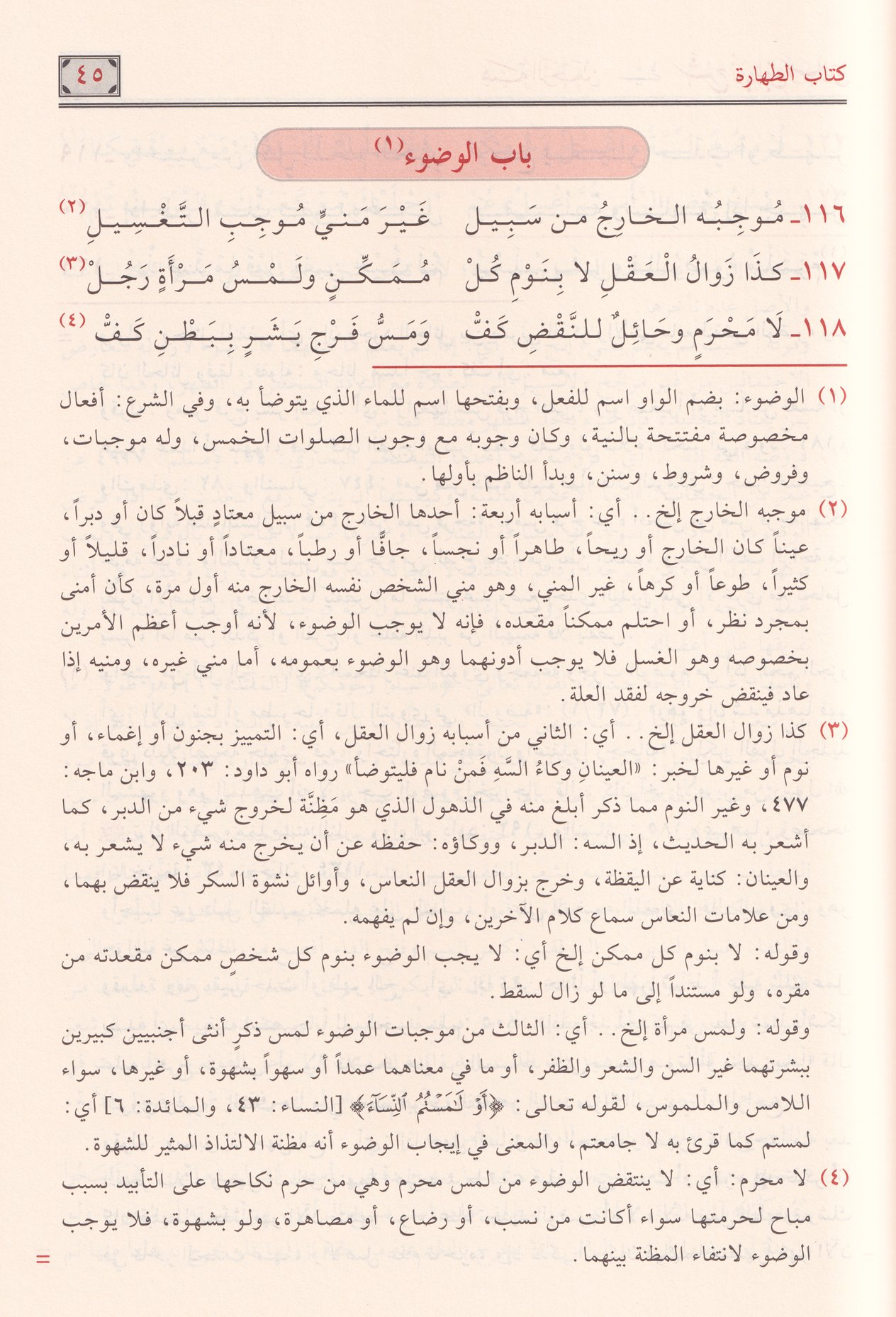 Hibetür Rahman Şerhü Zübed ibn Reslan - هبة الرحمن شرح زبد ابن رسلان
