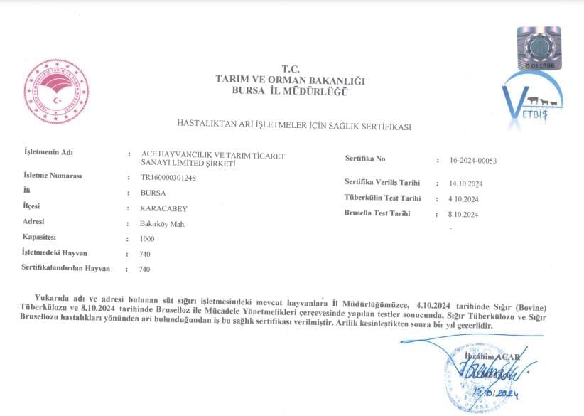 Jersey Sütü 3 Lt