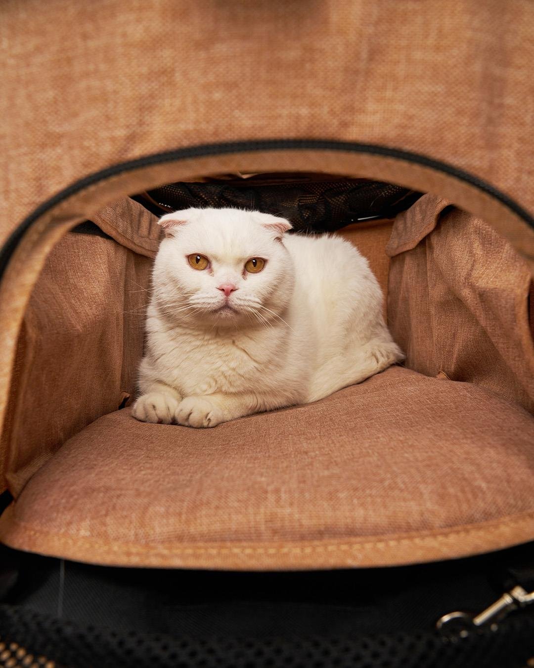 Zampa Melona Kedi & Köpek Arabası Haki