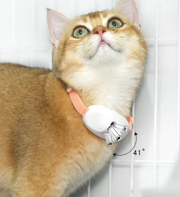 Zampa Şarjlı Lazerli Kedi Tasması 10 cm, Pembe, Yeşil