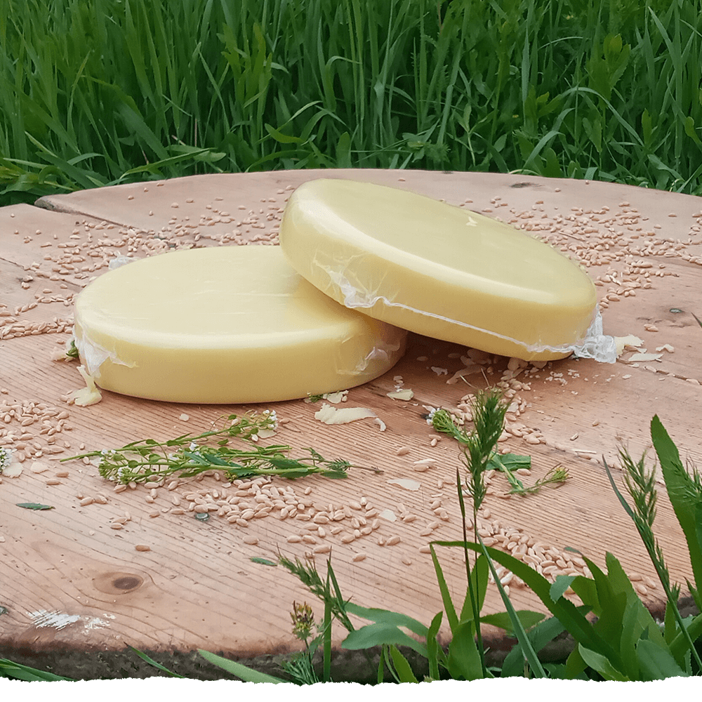 GÖBEK KAŞAR PEYNİRİ 1KG