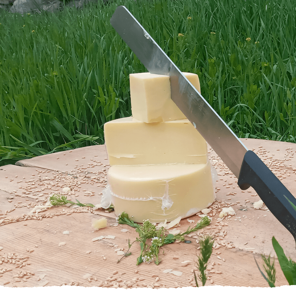 KARS TAZE KAŞAR PEYNİRİ 1KG