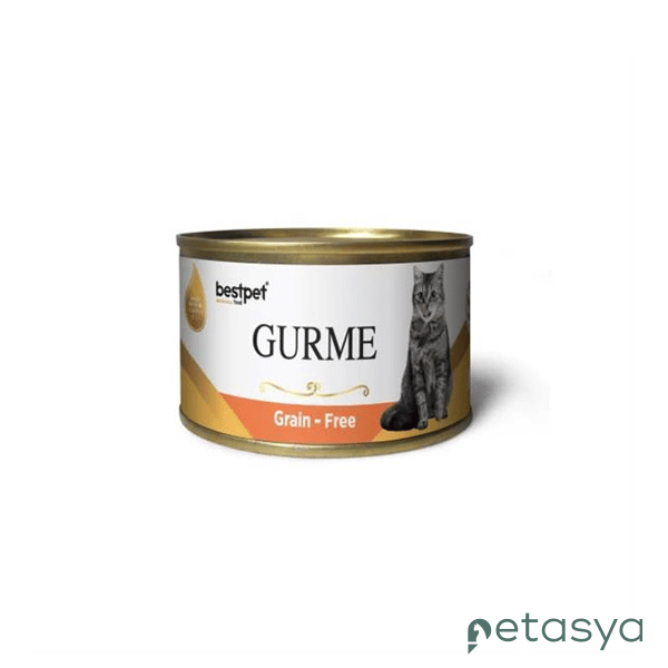 BestPet Gurme Jöle İçinde Somonlu  Tahılsız Yetişkin Kedi Konservesi 100 Gr