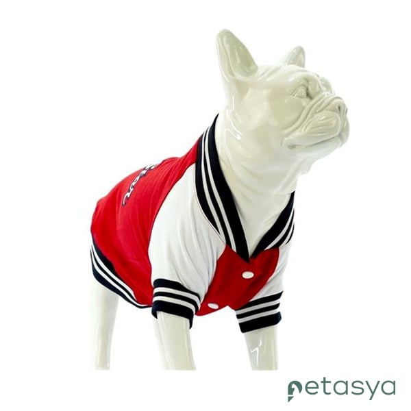 Lindo College AllStar Köpek Sweatshirt (Beden 2)