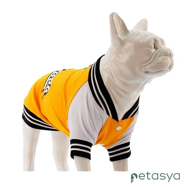 Lindo College California Köpek Sweatshirt(Beden 6)