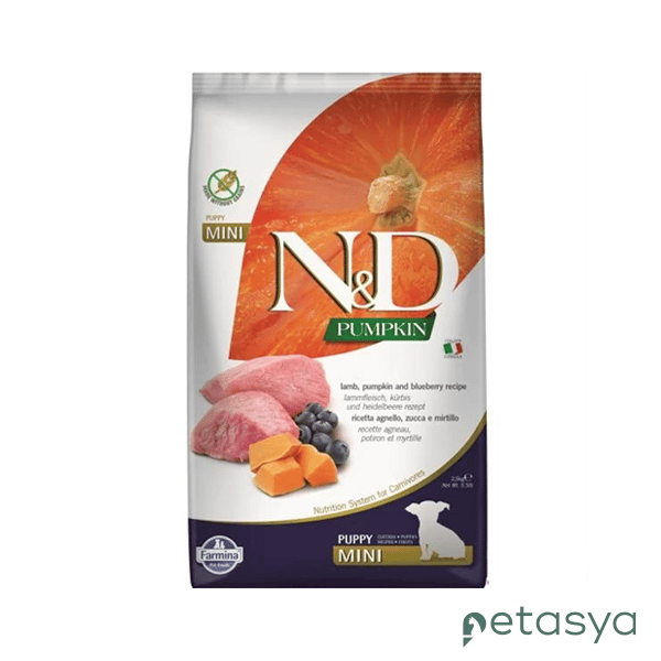 N&D Pumpkin Bal Kabaklı Kuzulu ve Yaban Mersinli  Küçük Irk Tahılsız Yavru Köpek Maması 2,5 Kg