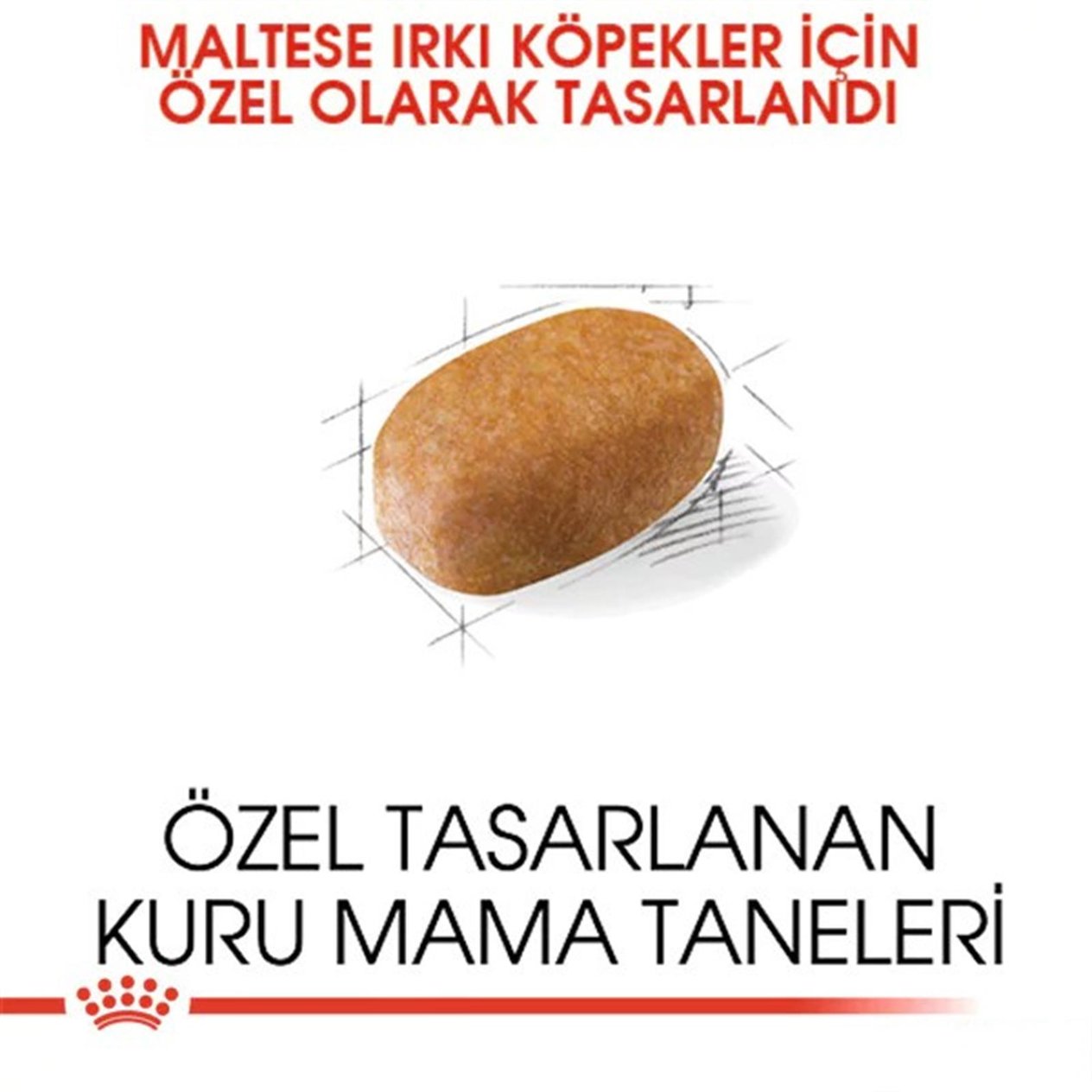 Royal Canin Maltese Terrier  Yetişkin Köpek Maması 1,5 Kg