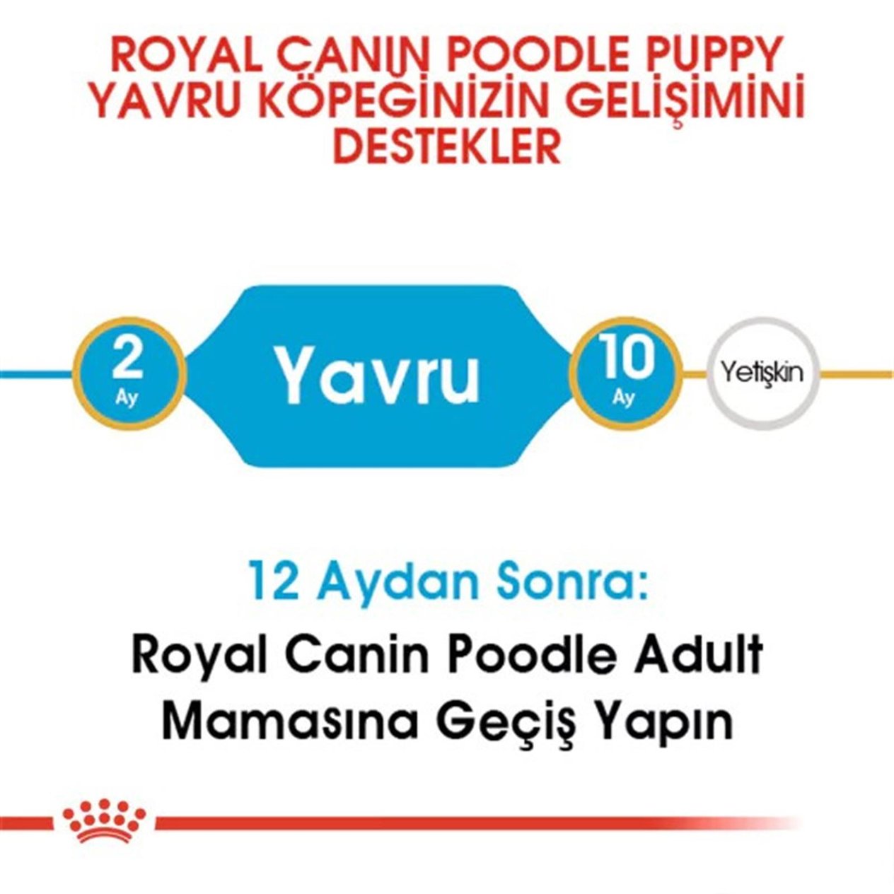 Royal Canin Puppy Poodle Caniche  Yavru Köpek Maması 3 Kg