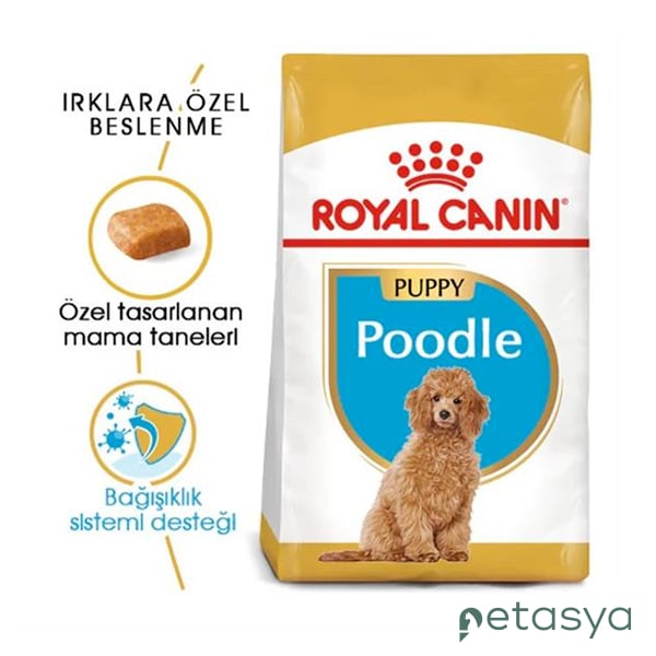 Royal Canin Puppy Poodle Caniche  Yavru Köpek Maması 3 Kg