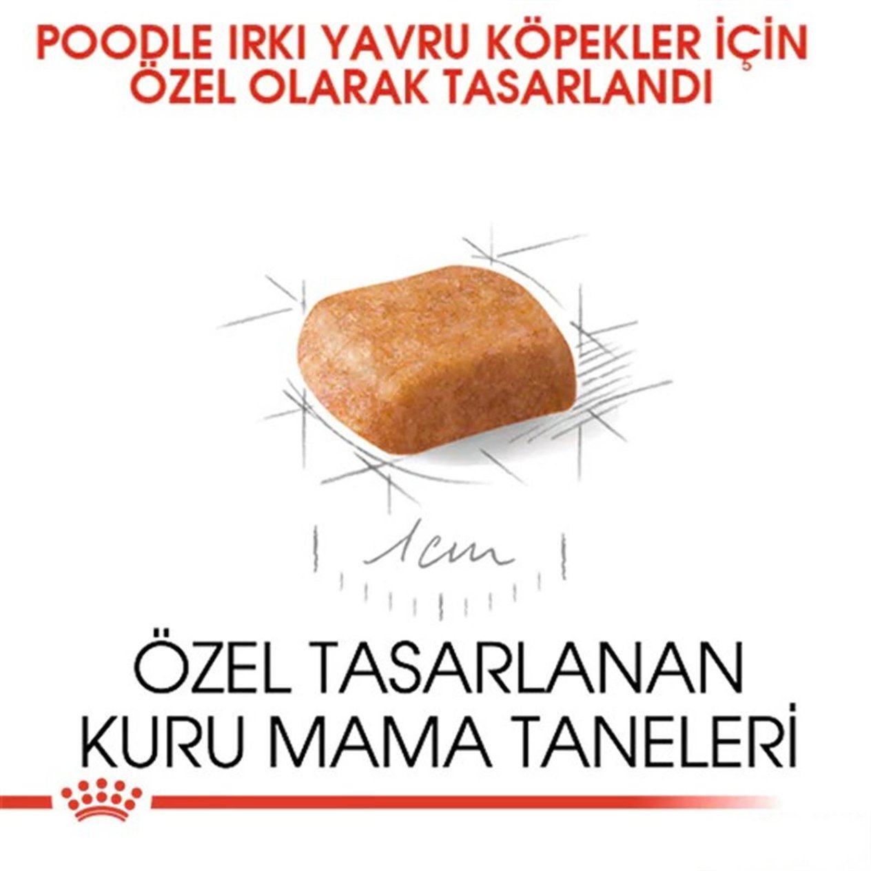 Royal Canin Puppy Poodle Caniche  Yavru Köpek Maması 3 Kg